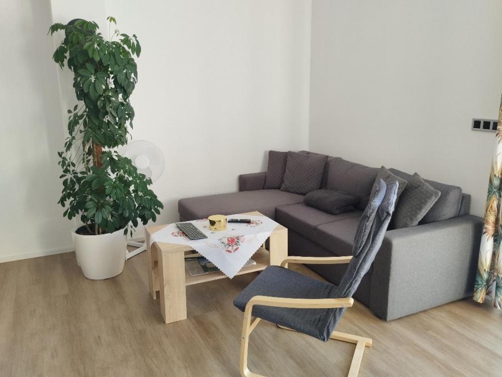 Apartman Dasa 弗林布尔克 外观 照片